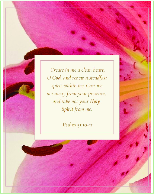 bible vers 1 for Private Client — print & cut by Plan Photo Repro