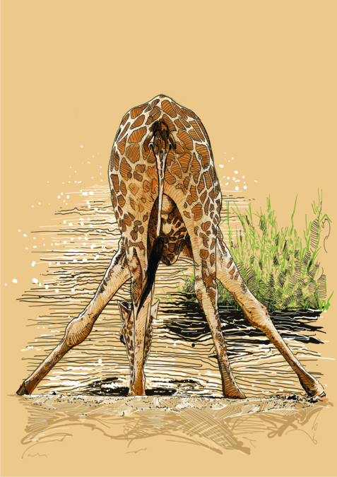 werner henken Giraffe 1 for Werner Henken — print & cut by Plan Photo Repro