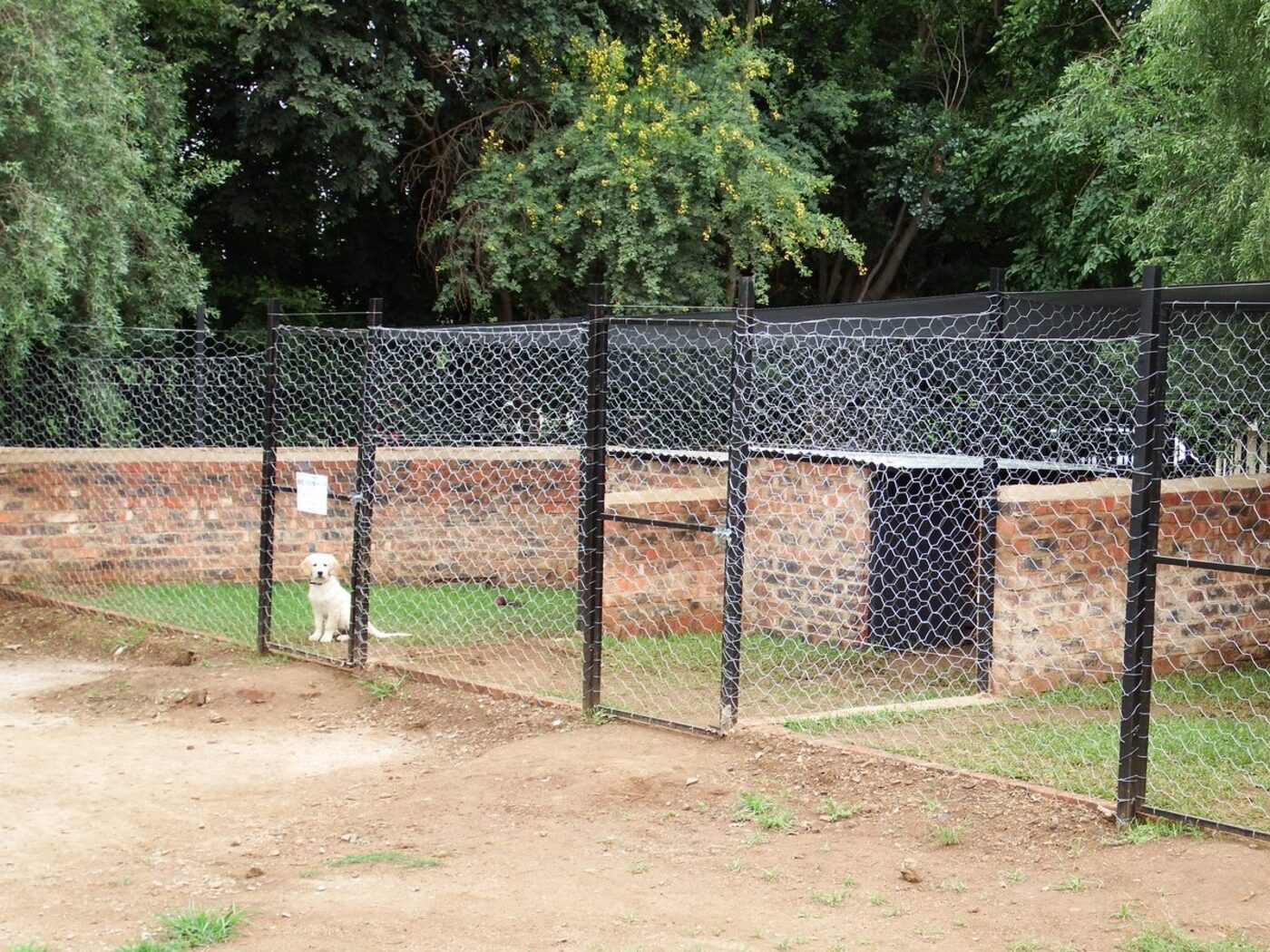 Grass kennel runs at Delenitor Animal Lodge, Pretoria East